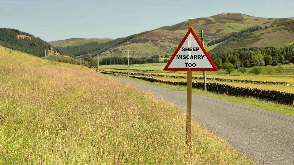 A red-bordered warning road sign beside a country lane